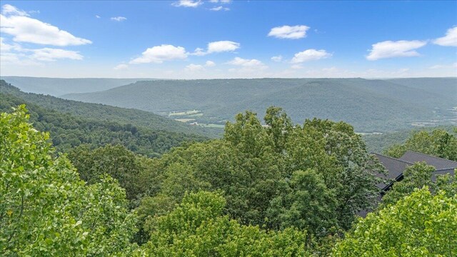 525 Moonlight Ln Unit Jf-434, Jasper, TN 37347 - photo 9