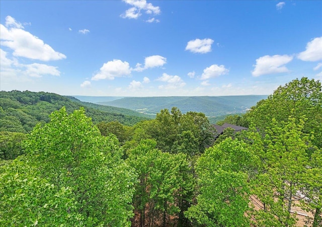 525 Moonlight Ln Unit Jf-434, Jasper, TN 37347 - photo 8