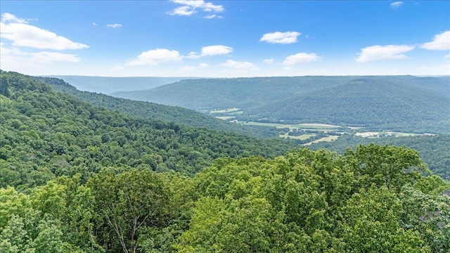 525 Moonlight Ln Unit Jf-434, Jasper, TN 37347 - photo 7