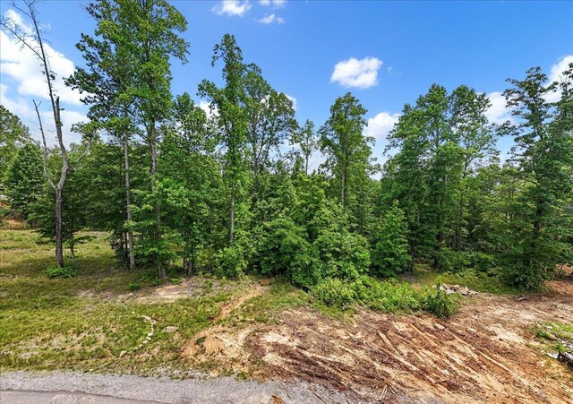 525 Moonlight Ln Unit Jf-434, Jasper, TN 37347 - photo 6
