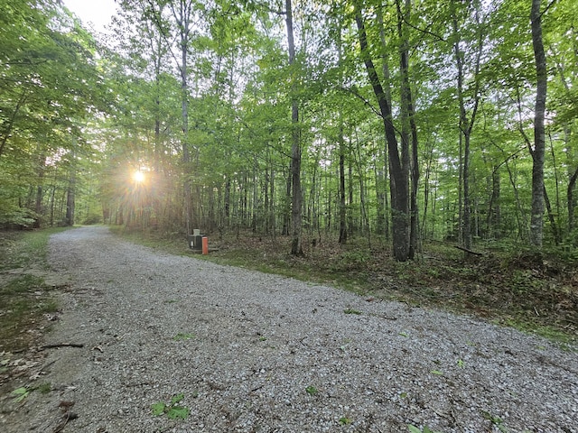 3 Savage Highland Dr Unit Sw1D, Coalmont, TN 37313