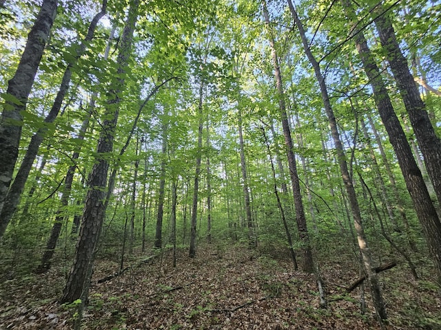 3 Savage Highland Dr Unit Sw1D, Coalmont, TN 37313