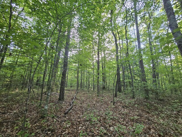 3 Savage Highland Dr Unit Sw1D, Coalmont, TN 37313