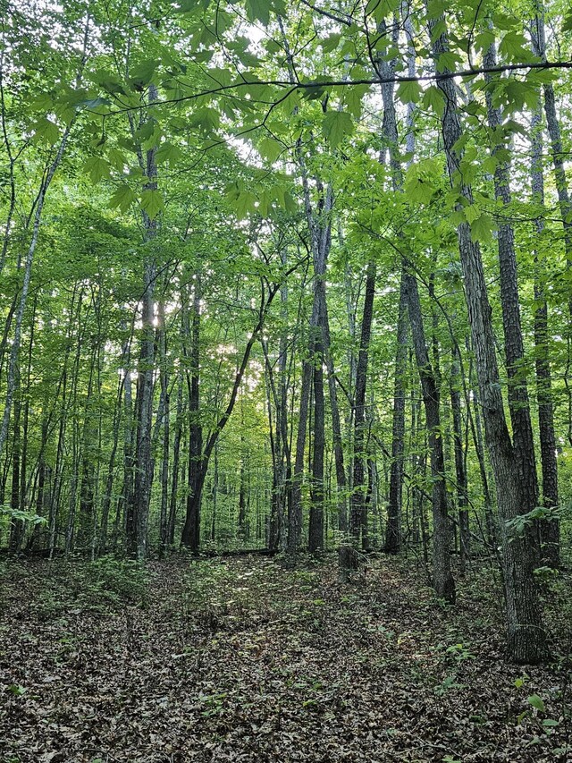 3 Savage Highland Dr Unit Sw1D, Coalmont, TN 37313