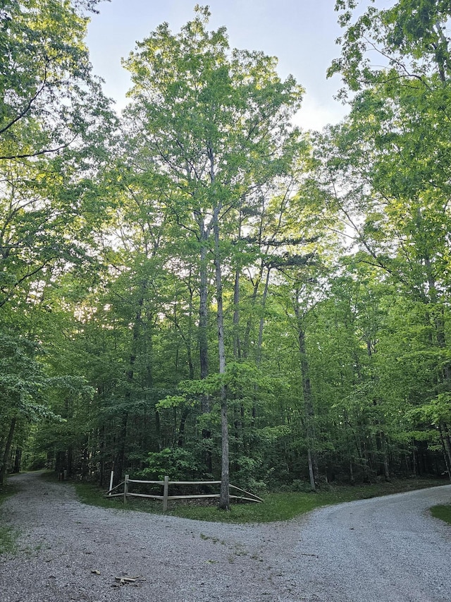 3 Savage Highland Dr Unit Sw1D, Coalmont, TN 37313