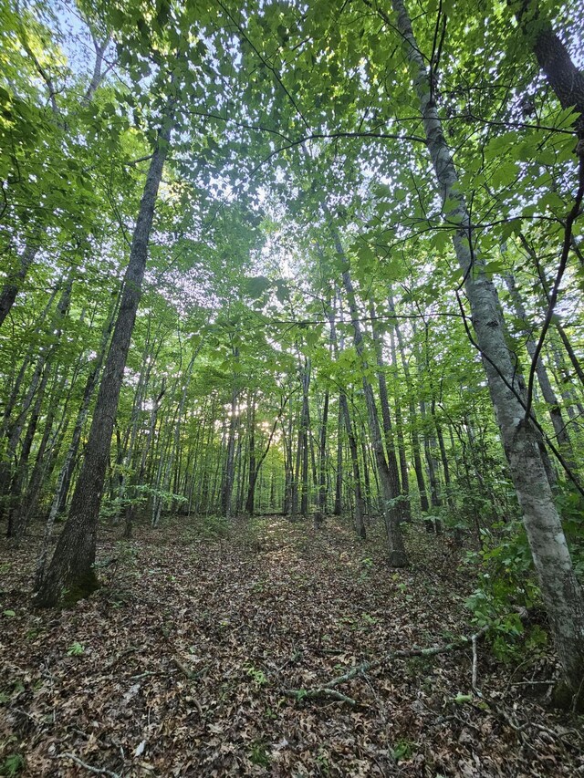 3 Savage Highland Dr Unit Sw1D, Coalmont, TN 37313