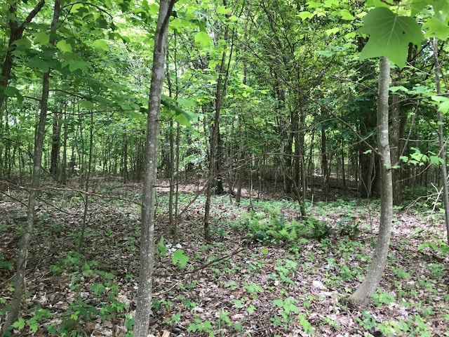 LOT512 Wilderness Way, Dunlap, TN 37327