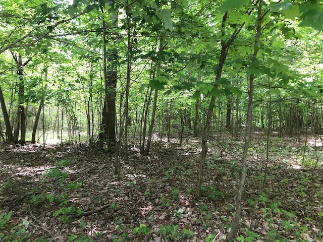 LOT512 Wilderness Way, Dunlap, TN 37327