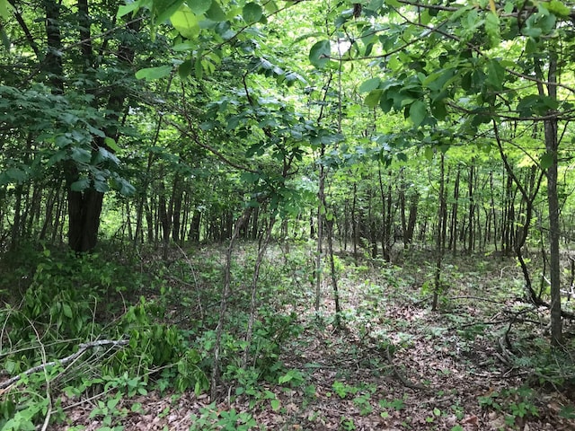 LOT512 Wilderness Way, Dunlap, TN 37327
