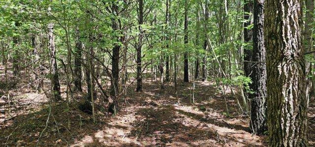 0 Sunset Rd Unit 532, Spencer, TN 38585