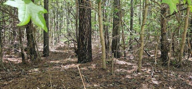 0 Sunset Rd Unit 533, Spencer, TN 38585