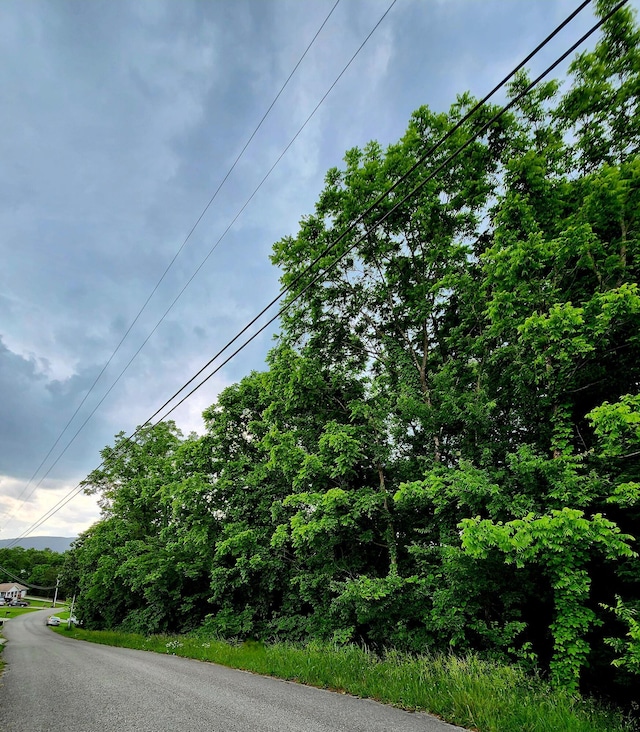 0 Ashley Ln Unit 53, Dayton, TN 37321 - photo 2