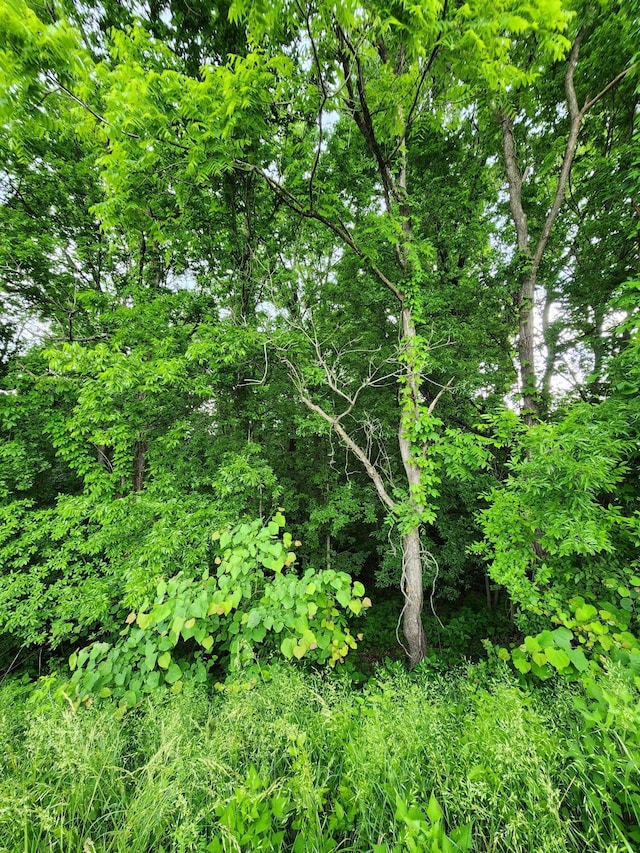0 Ashley Ln Unit 53, Dayton, TN 37321 - photo 5