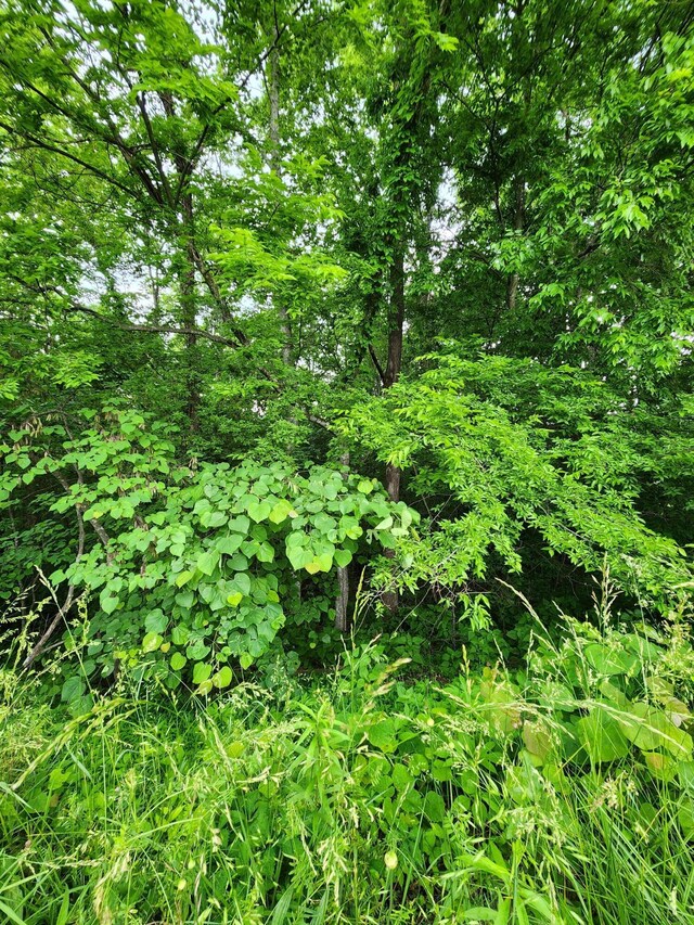 0 Ashley Ln Unit 53, Dayton, TN 37321 - photo 6