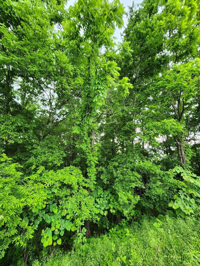 0 Ashley Ln Unit 53, Dayton, TN 37321 - photo 8