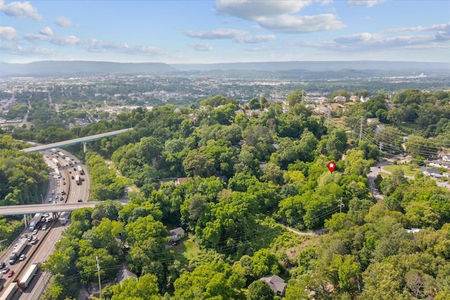 402 S Seminole Dr, Chattanooga, TN 37411
