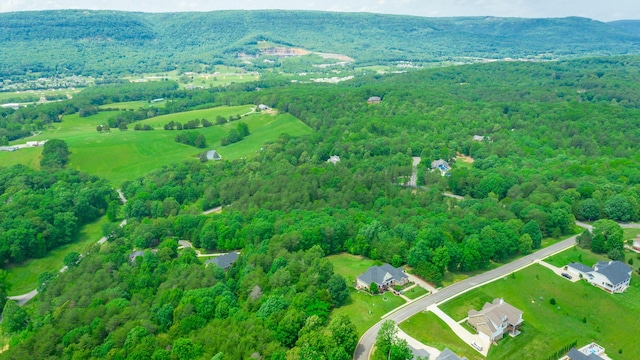 27 Skyhigh Dr, Dunlap, TN 37327 - photo 5