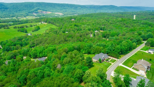 27 Skyhigh Dr, Dunlap, TN 37327 - photo 6