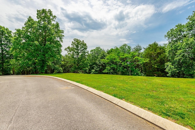 27 Skyhigh Dr, Dunlap, TN 37327 - photo 7