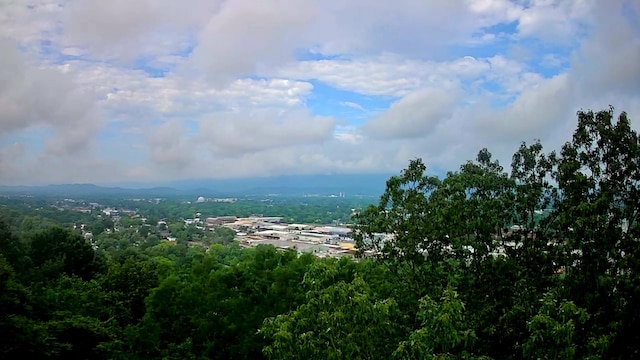 15 Th Ave Unit 50, 51, Chattanooga, TN 37404