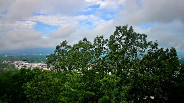 15 Th Ave Unit 50, 51, Chattanooga, TN 37404