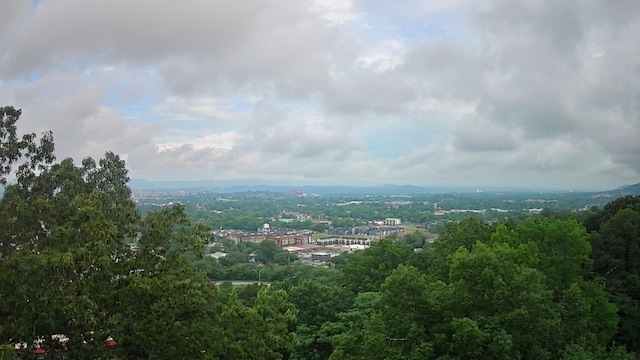 15 Th Ave Unit 50, 51, Chattanooga, TN 37404