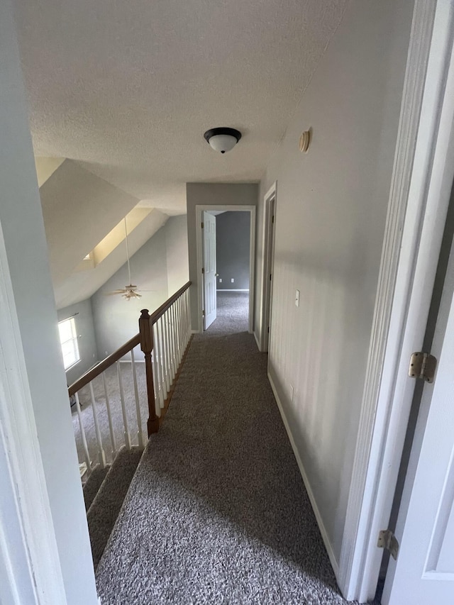 6206 Sagefield Dr, Harrison, TN 37341 - hallway with a textured ceiling, baseboards, and a skylight