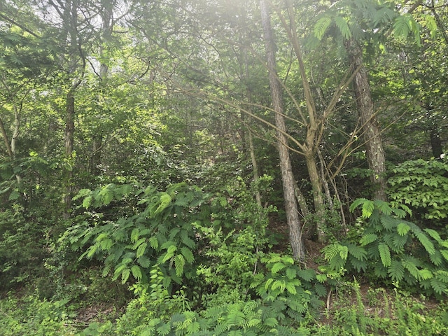 3302 NW Ridgeway Dr Lot 42, Cleveland, TN 37312