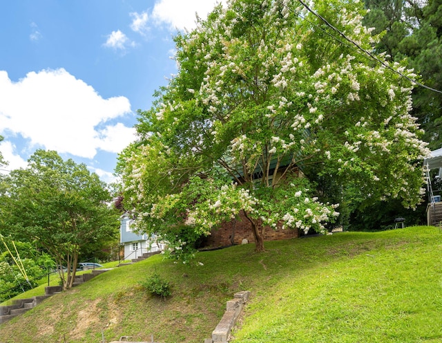 1002 Gillespie Rd, Chattanooga, TN 37411 - view of grassy yard