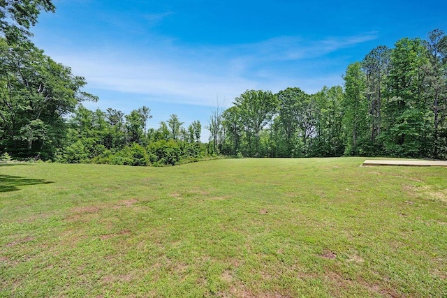 5820 Trion Teloga Rd, Summerville, GA 30747 - view of green lawn
