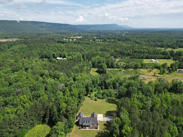 5820 Trion Teloga Rd, Summerville, GA 30747 - bird's eye view of a heavily wooded area