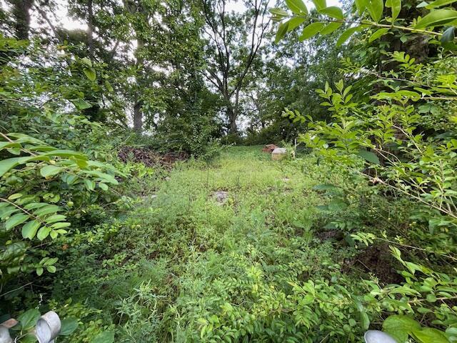 4908 13th Ave, Chattanooga, TN 37407 - view of yard