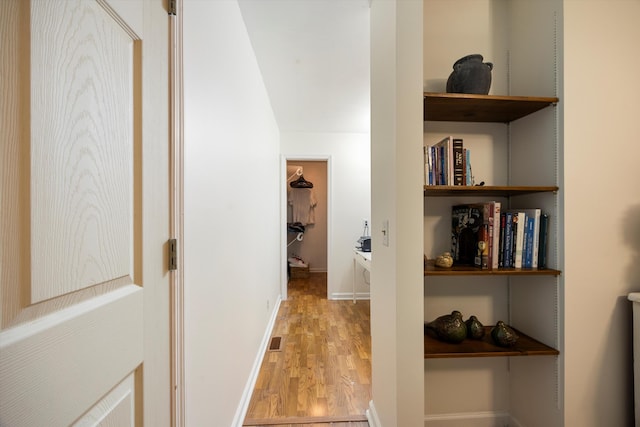 142 Holli Bird Ln, Ringgold, GA 30736 - hallway with light wood-style floors and baseboards