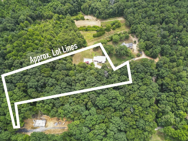 142 Holli Bird Ln, Ringgold, GA 30736 - aerial view of property's location with property parcel outlined and a heavily wooded area