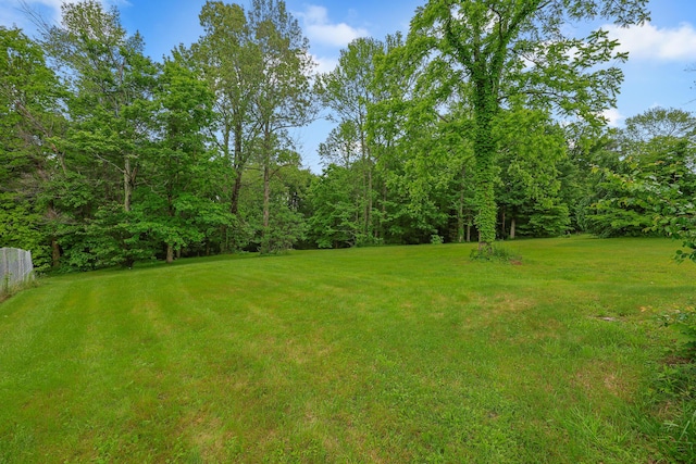 4306 Fredonia Rd, Dunlap, TN 37327 - view of yard