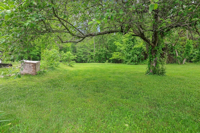 4306 Fredonia Rd, Dunlap, TN 37327 - view of grassy yard with a view of trees