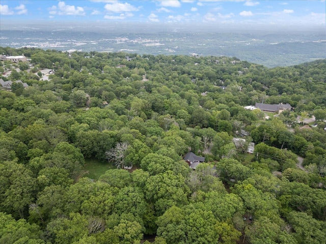 307 Park Rd, Lookout Mountain, TN 37350
