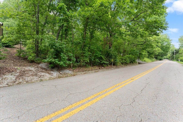 307 Park Rd, Lookout Mountain, TN 37350