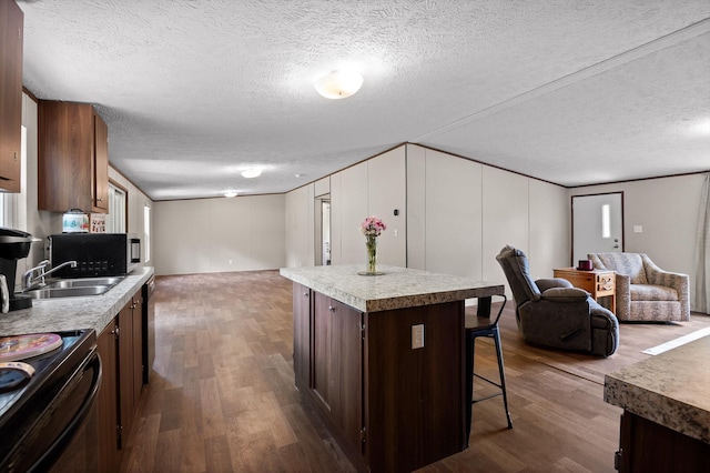 934 Holly Glen Ln, Decatur, TN 37322 - kitchen featuring open floor plan, dark wood-style flooring, a breakfast bar area, a textured ceiling, and light countertops
