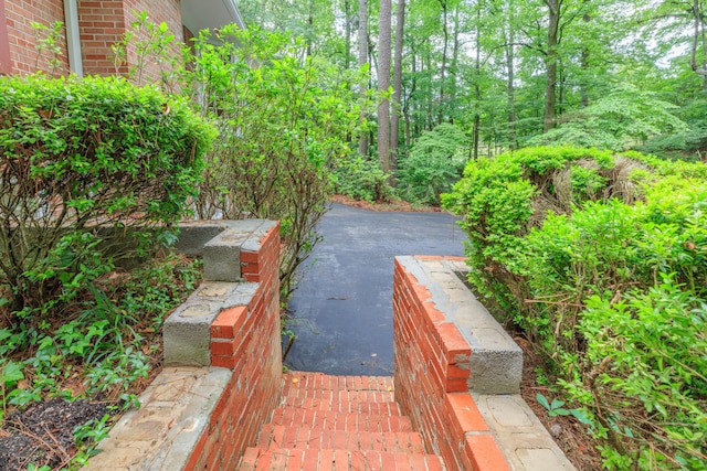 302 Brookwood Ln, Lafayette, GA 30728 - view of yard