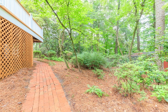 302 Brookwood Ln, Lafayette, GA 30728 - view of yard featuring a forest view