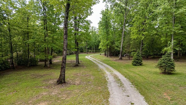110 Falls Ln, Spencer, TN 38585