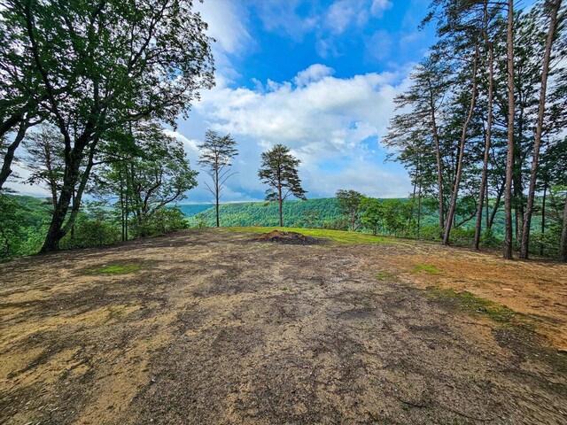 110 Falls Ln, Spencer, TN 38585