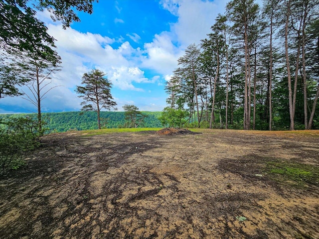 110 Falls Ln, Spencer, TN 38585