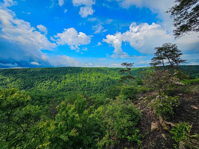 110 Falls Ln, Spencer, TN 38585