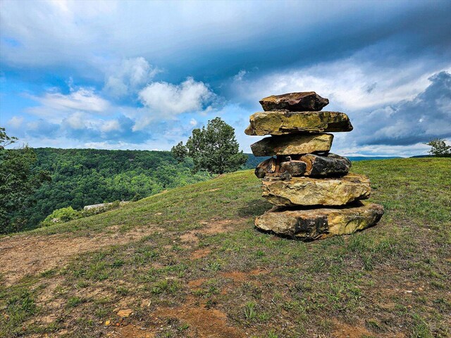 110 Falls Ln, Spencer, TN 38585