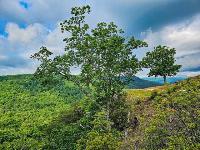 110 Falls Ln, Spencer, TN 38585