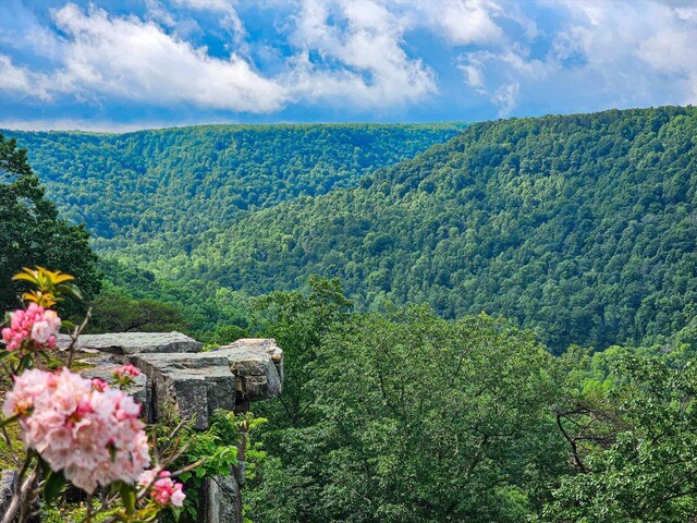 110 Falls Ln, Spencer, TN 38585