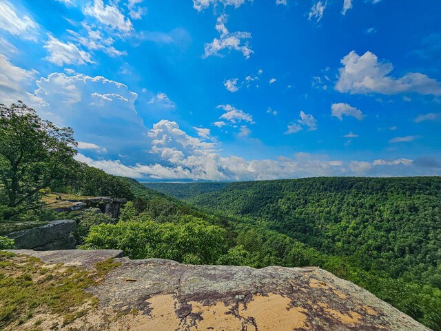 110 Falls Ln, Spencer, TN 38585