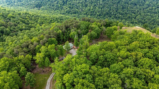 110 Falls Ln, Spencer, TN 38585
